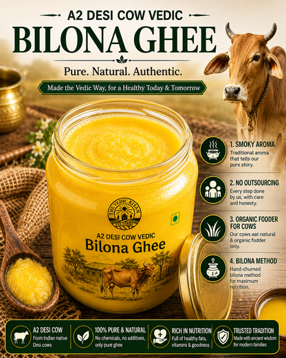 A2 Cow Vedic Bilona Ghee